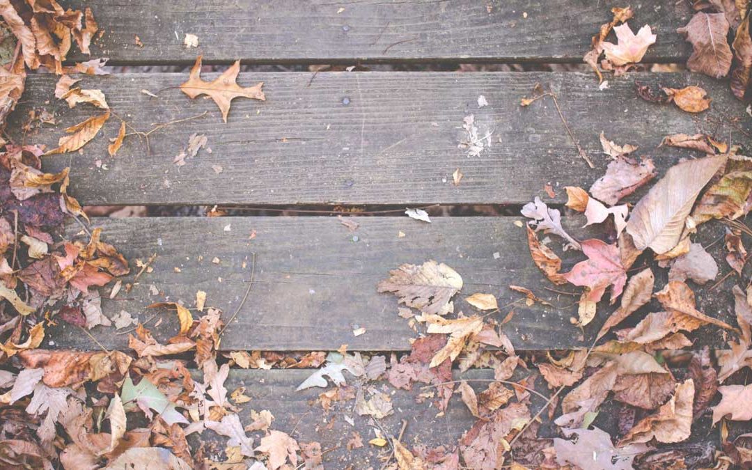 Cool Nights and Hot Trends: 7 Simple Ways to Enjoy Your Back Deck This Fall