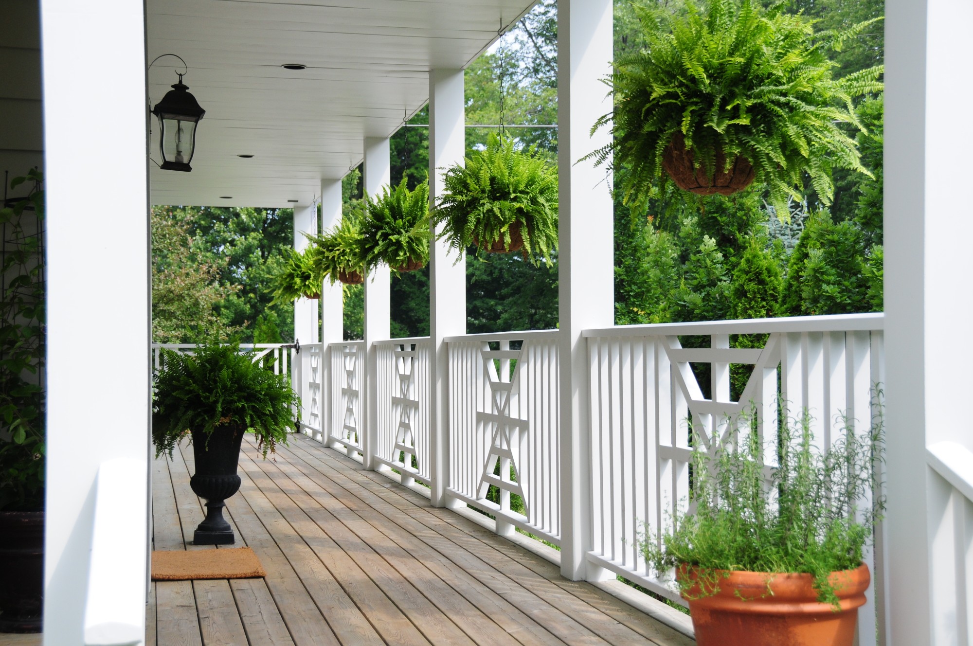 Hanging Flowers over a white porch railing