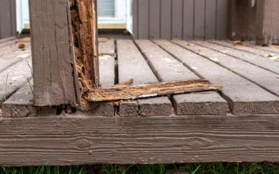 The Silent Enemy of Outdoor Decks in Myrtle Beach: Identifying and Preventing Hidden Damage